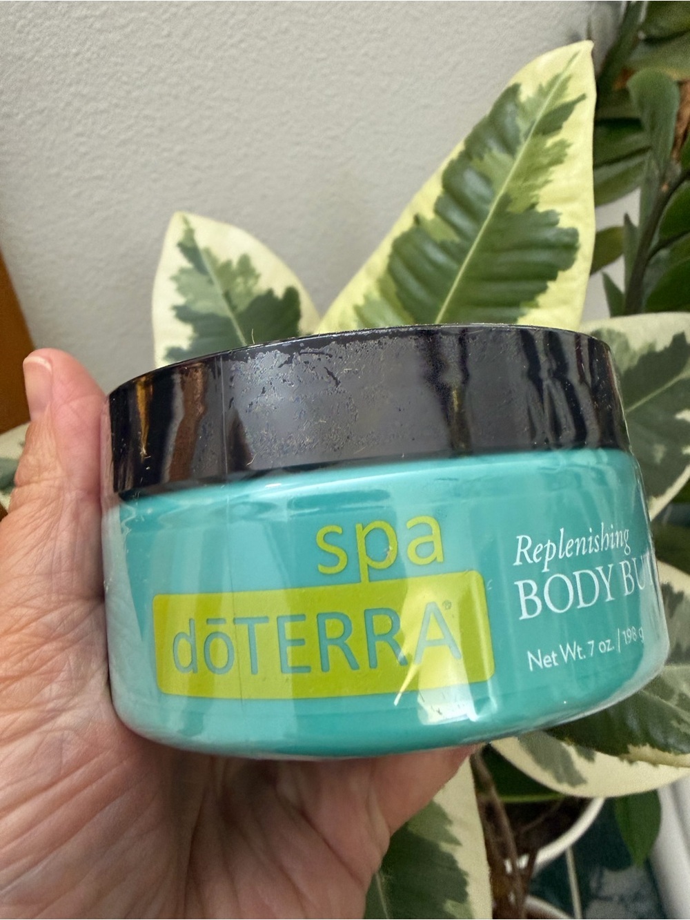 Doterra Spa Replenishing Body Butter in teal with black lid